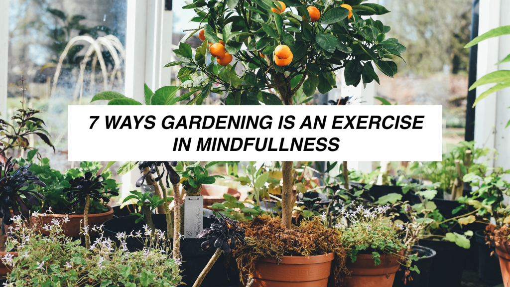 ￼7 Ways Gardening is an Exercise in Mindfulness